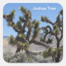 Search for mojave desert stickers Joshua tree