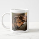 Search for purebred mugs Cute baby animal