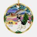 Search for rat terrier christmas tree decorations Dogs
