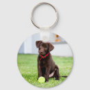 Search for cute tennis key rings Puppy