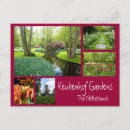 Search for keukenhof Keukenhof gardens