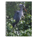 Search for bird watcher notebooks Nature