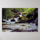 Search for great smoky mountains national park posters Adventure