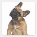 Search for 7 months stickers Belgium