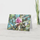 Search for fragrant cards Pink