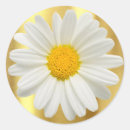 Search for topper stickers Gold