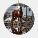 Search for chestnut horse christmas tree decorations Animals