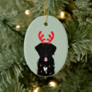 Search for black lab christmas tree decorations Cute puppy