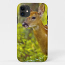 Search for whitetail deer iphone cases Nature
