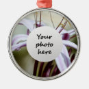 Search for bloom christmas tree decorations White