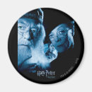 Search for prisoner magnets Jk rowling