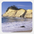 Search for sps stickers Scenic