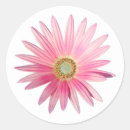 Search for daisy photo stickers Pretty