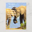 Search for conservatives postcards Elephant