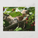 Search for mourning postcards Tree