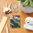 Search for narwhal key rings Ocean