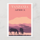 Search for zebra postcards Retro