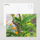 Search for caterpillar postcards Yellow