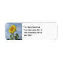 Search for sun flower return address labels Floral