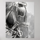 Search for black and white horse art Western