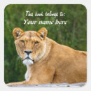 Search for african animals stickers Wild animal