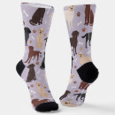 Search for labrador retriever socks Pattern