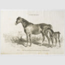 Search for equestrian tissue paper Vintage