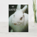 Search for happy 1st easter cards Bunny