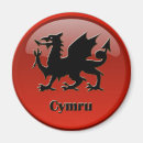 Search for cymru magnets Flag