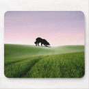 Search for border collie mousepads Puppy