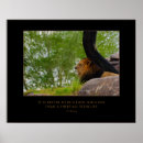 Search for african lion posters Cat