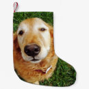 Search for golden retriever christmas stockings Puppy