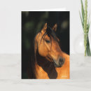Search for mustang cards Animal