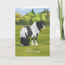Search for gypsy vanner horse cards Irish cob