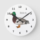Search for wild duck art Anas platyrhynchos