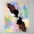 Search for bald eagles art Digital