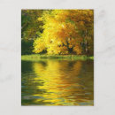 Search for autumn reflections postcards Nature