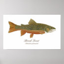 Search for brook trout art Salmon