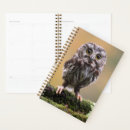 Search for cutest office supplies Young animal