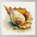 Search for marine creatures posters Ocean