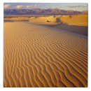 Search for be flat tiles Usa