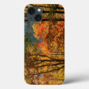 Search for fall foliage cases Orange
