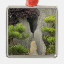 Search for bonsai christmas tree decorations Asia