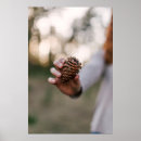 Search for pine cone posters Forest