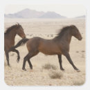 Search for running wild stickers Desert
