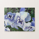 Search for pansy puzzles Flora