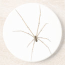 Search for arachnids barware Creepy