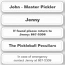 Search for pickleball paddle stickers Dinking
