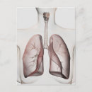 Search for larynx Healthcare