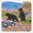 Search for public land stickers Dee ann pederson
